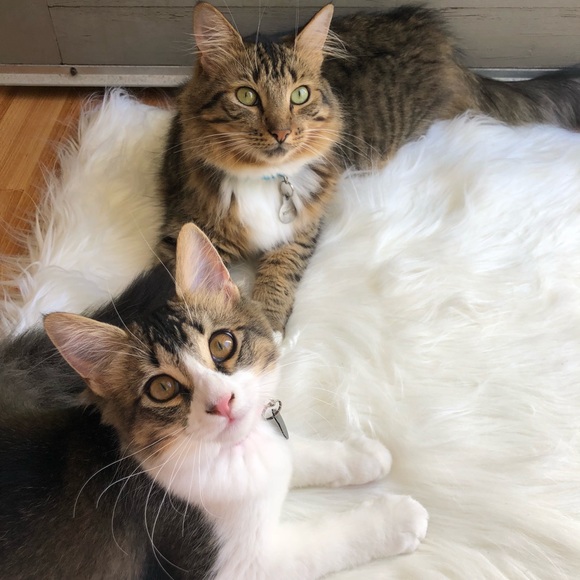 Meet me! - Picture 7 of 8